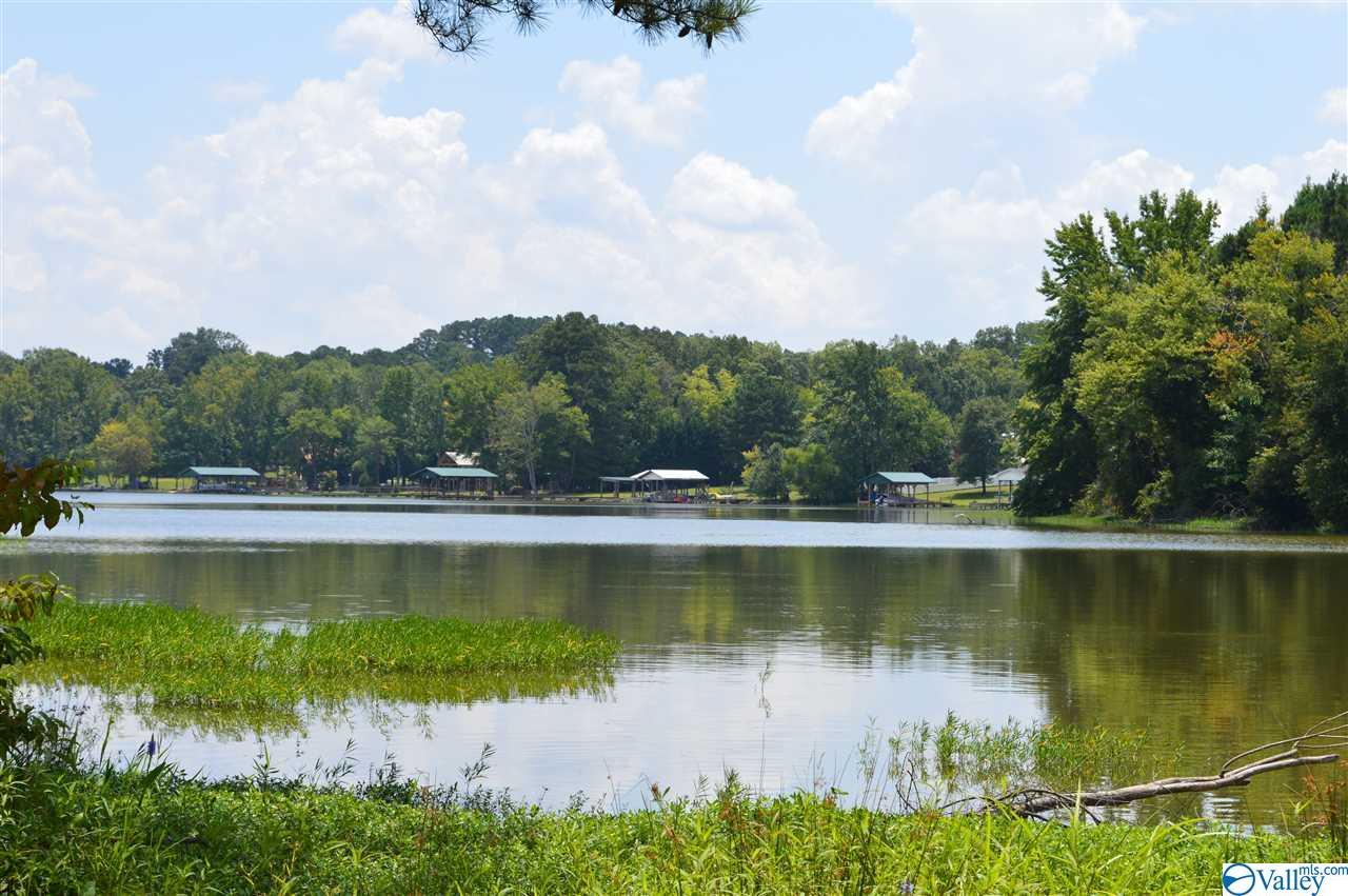 155 County Road 146 - Photo 1