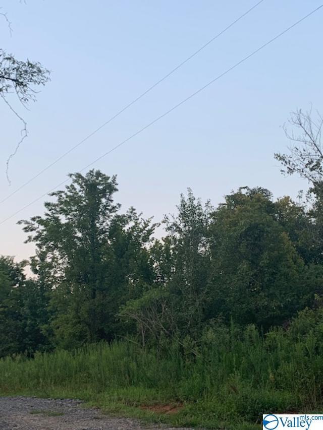 0 Lawngate Road - Photo 1