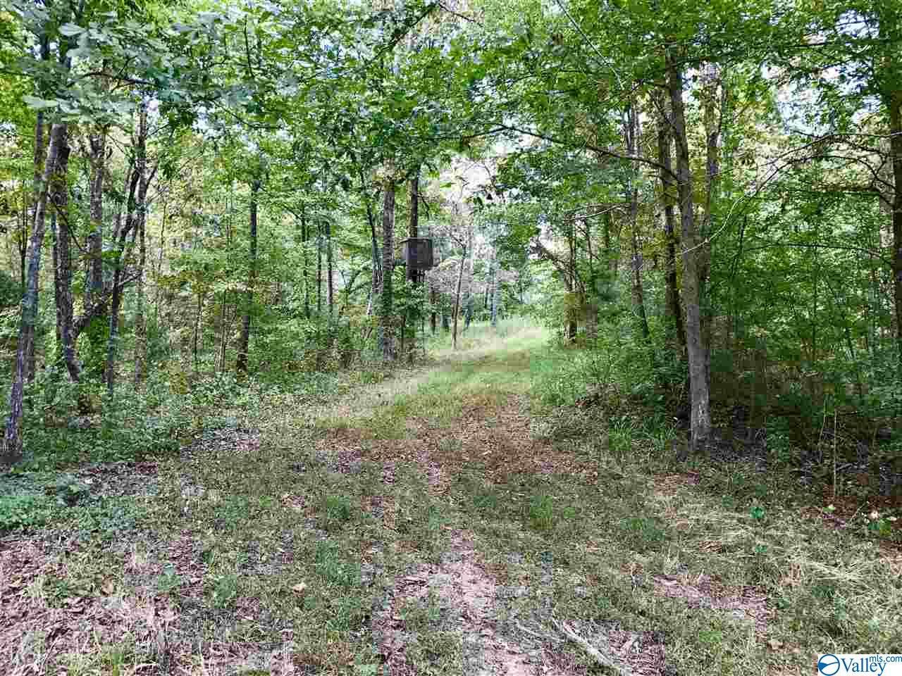 Jackson Loop Road - Photo 1