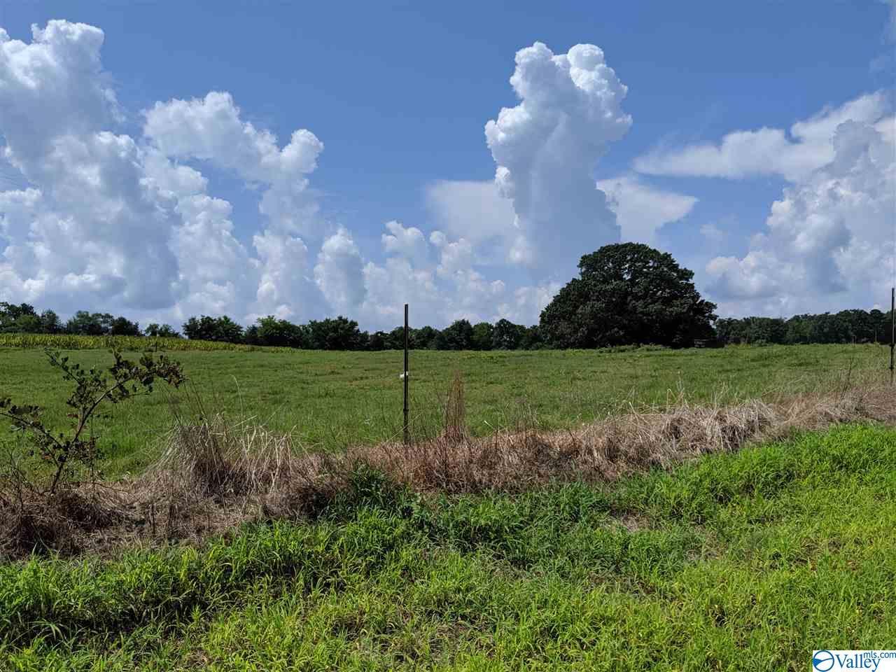 0 Snake Road - Photo 1