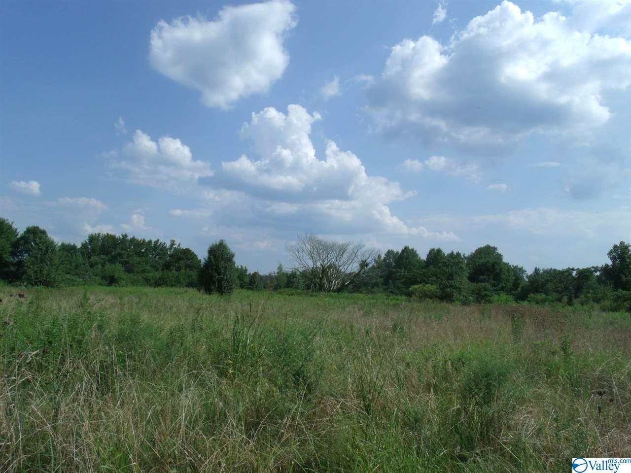 Union Grove Road - Photo 1