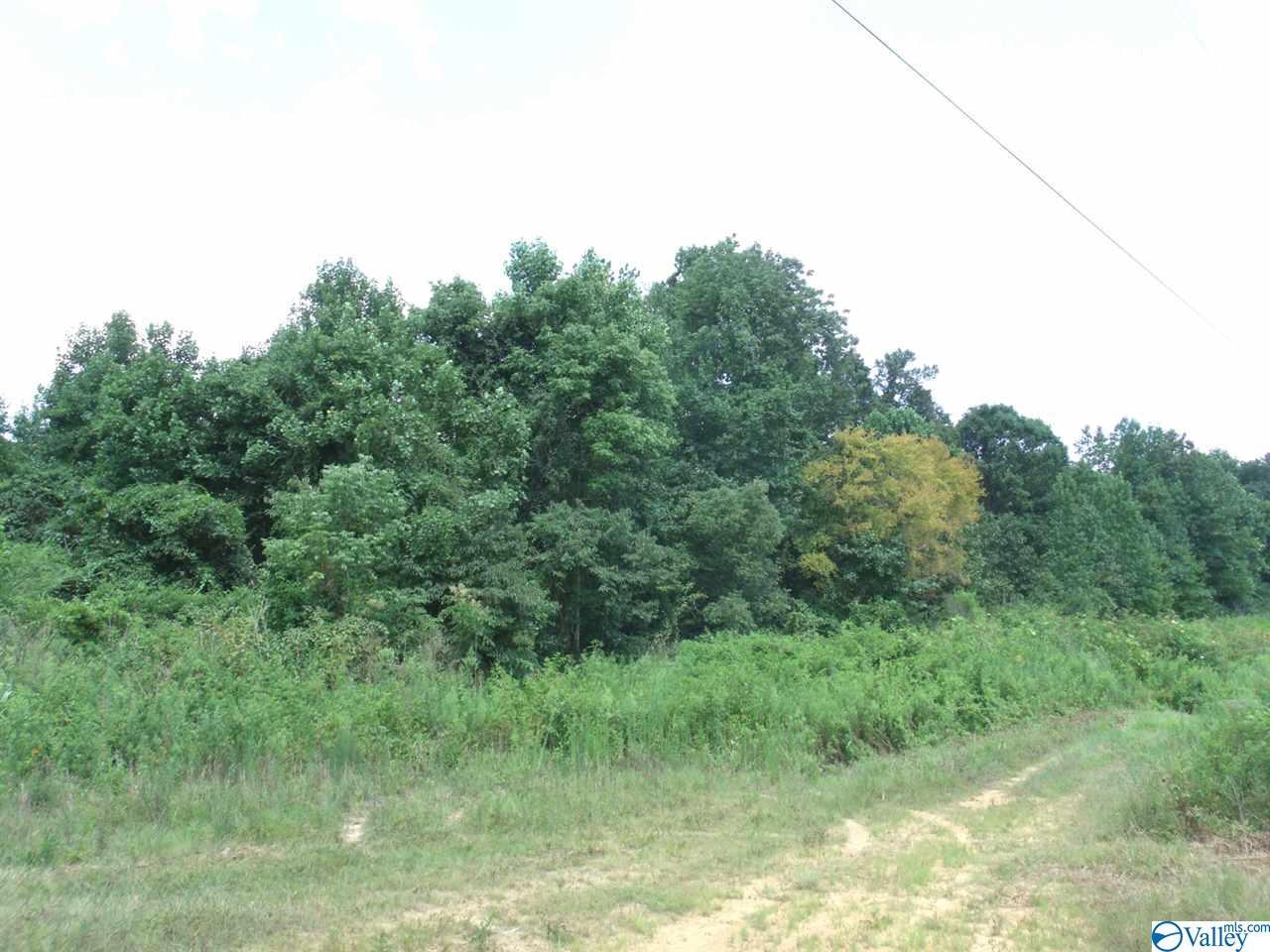 544 Water Tank Road - Photo 1