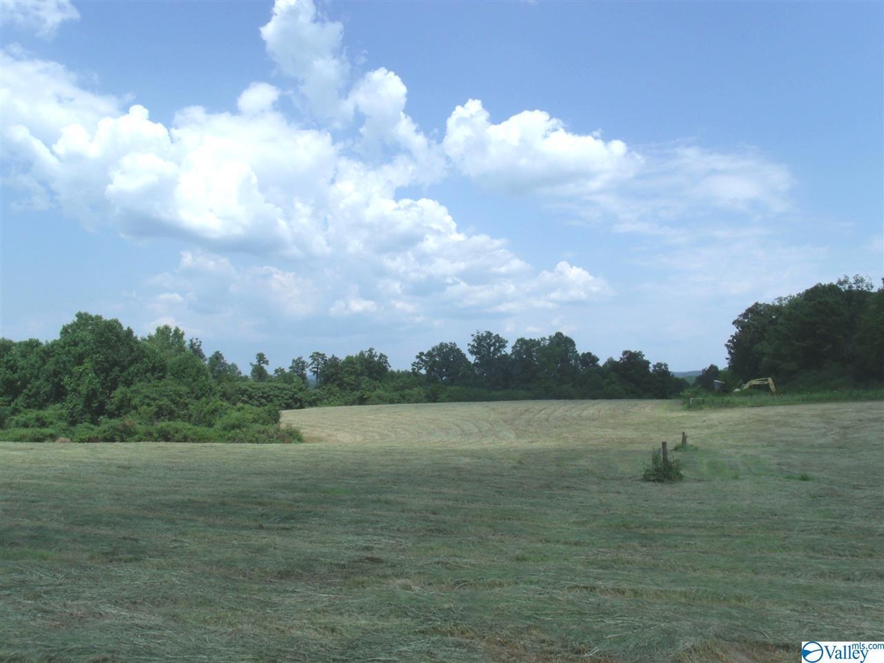 542 Water Tank Road - Photo 1