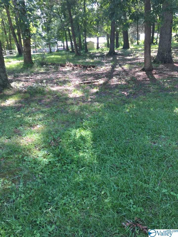 Riverbend Estates Road - Photo 1