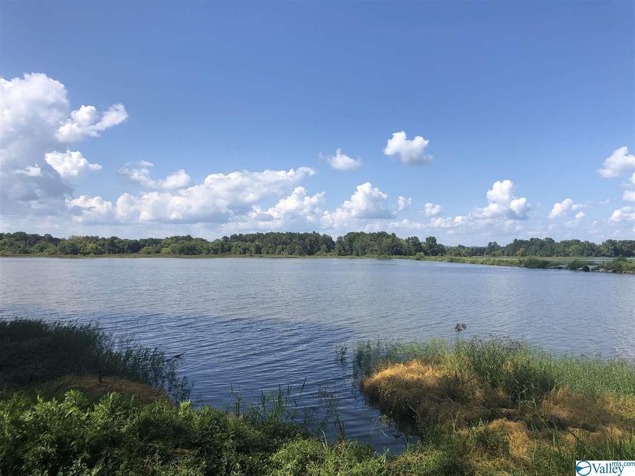 184 County Road 255 - Photo 1