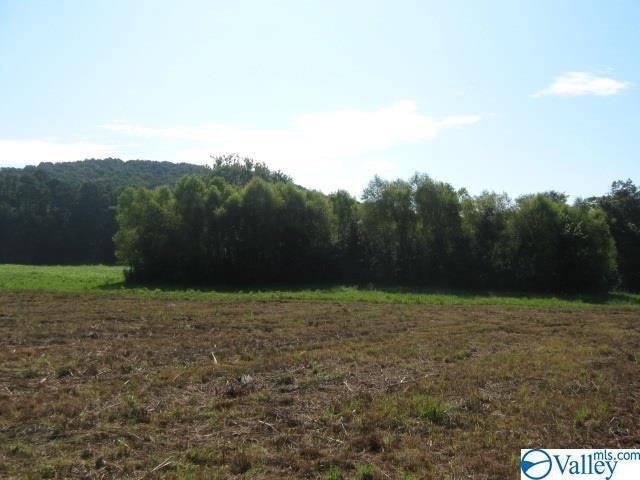 0 Alabama Highway 67 - Photo 1