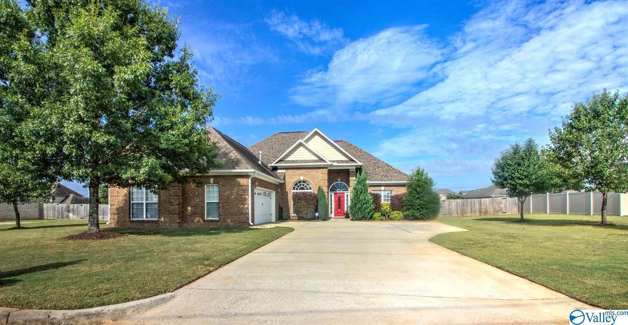 12817 Nani Drive - Photo 1