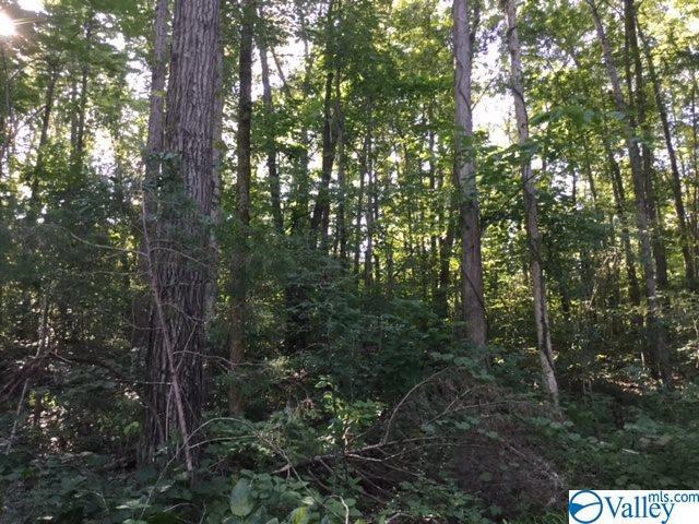 0 Piney Grove Road - Photo 1