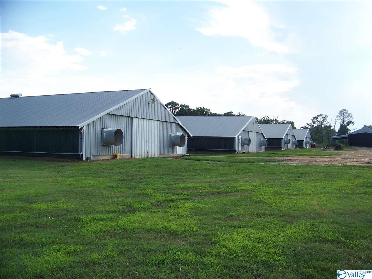 502 Shiloh Ranch Road - Photo 1