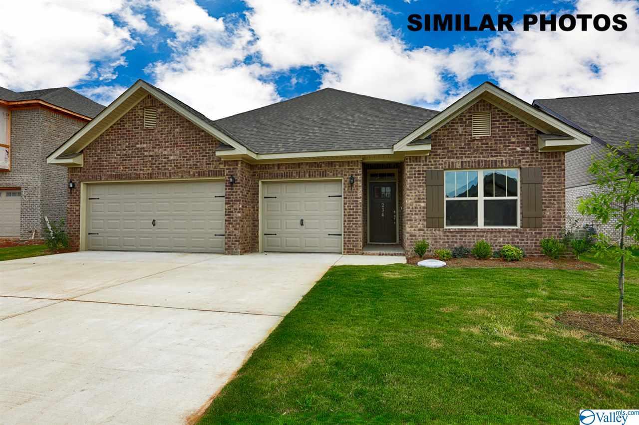 159 Holly Fern Drive - Photo 1