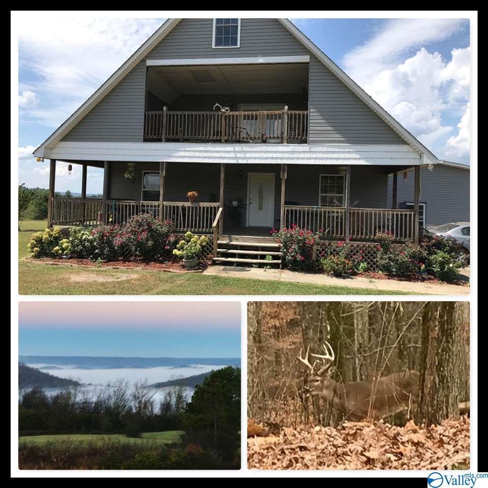 905 Bill Gautney Road - Photo 1