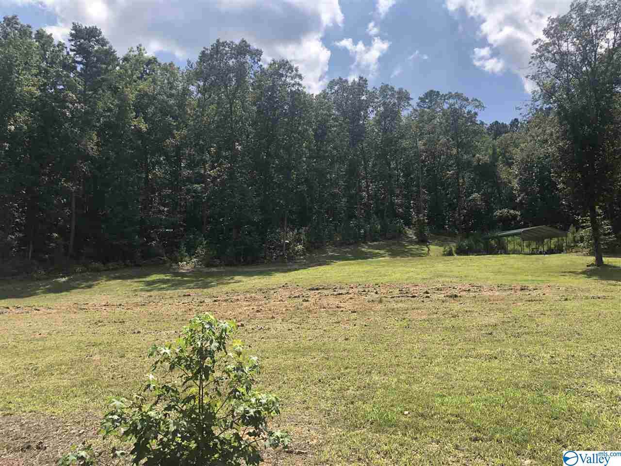 675 Walden Hollow Road - Photo 1