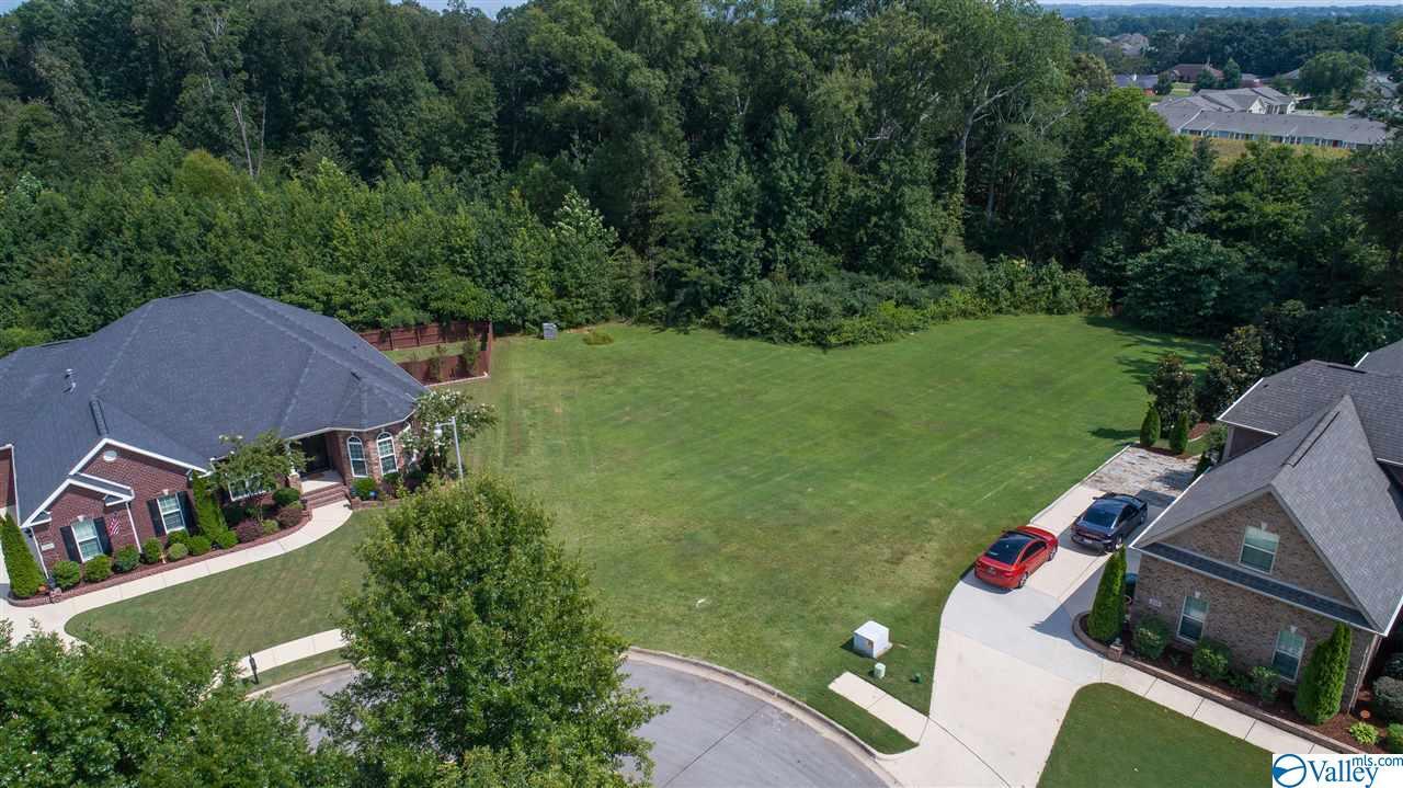 0 Baron Court - Photo 1