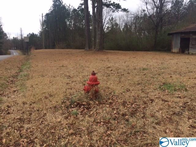 1600 Bradley Avenue - Photo 1