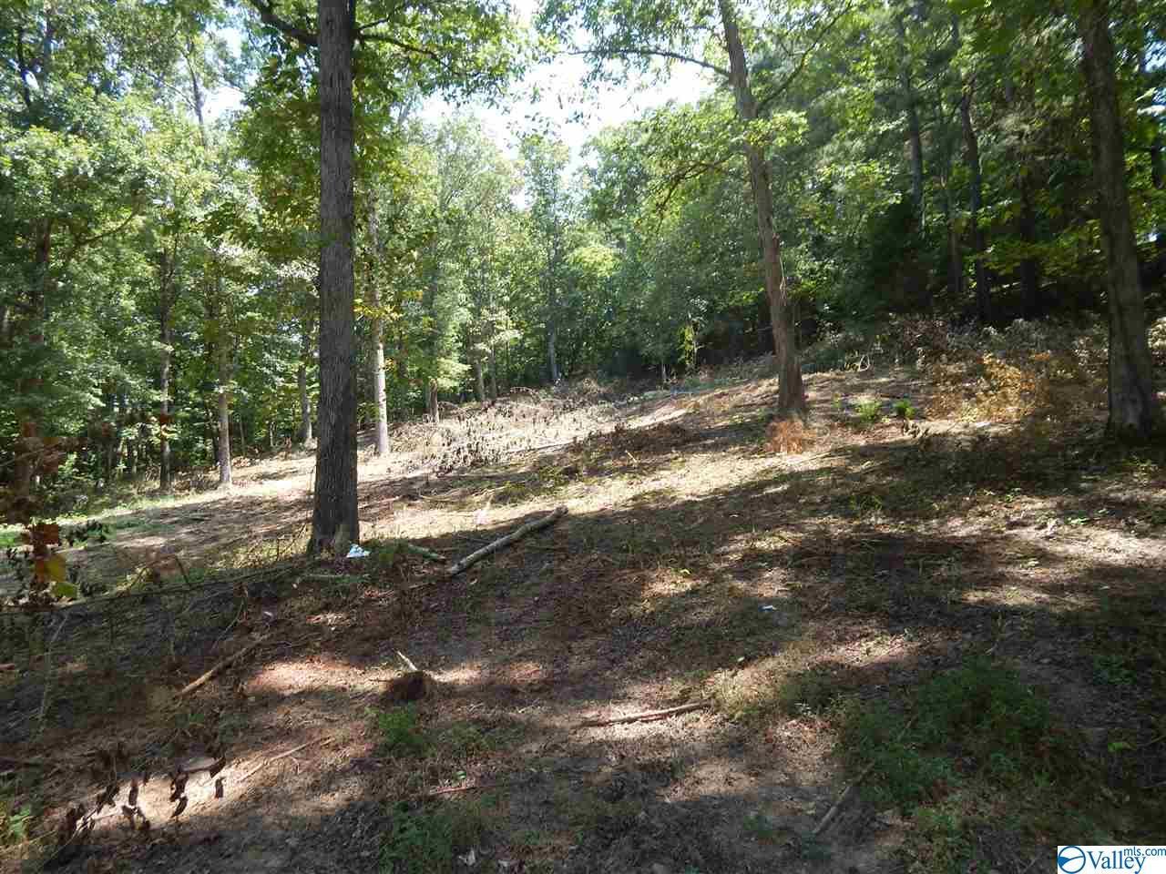 00 Little Ridge Road - Photo 1