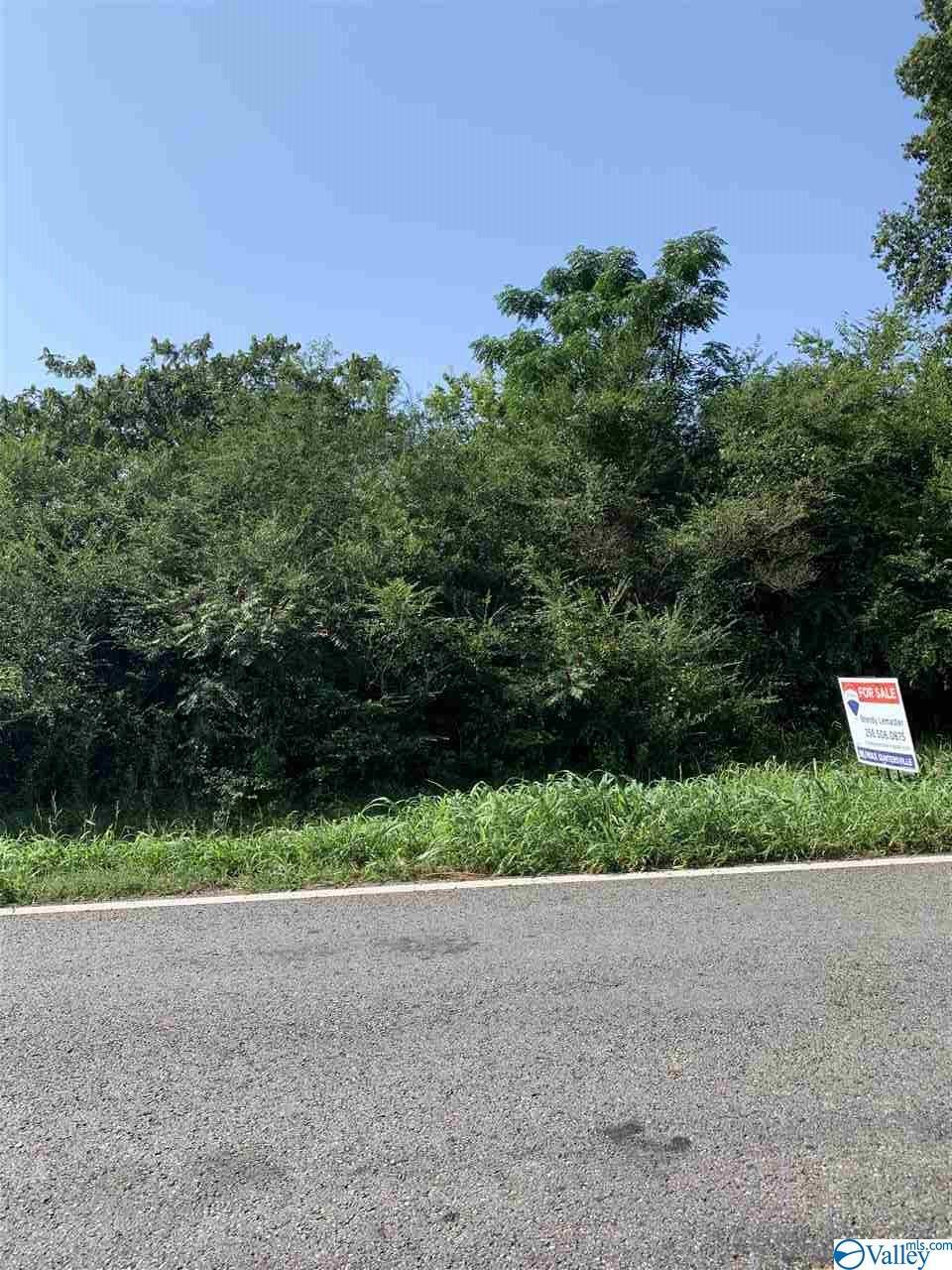0 Fry Gap Road - Photo 1