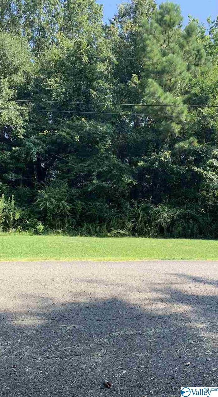 0 Country Lake Road - Photo 1