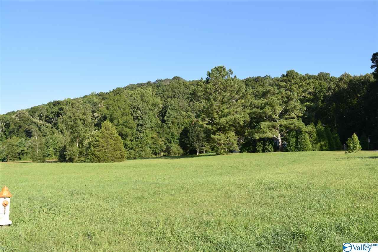 205 Edge Water Drive - Photo 1