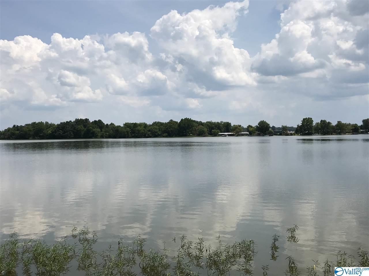 0 County Road 639 - Photo 1
