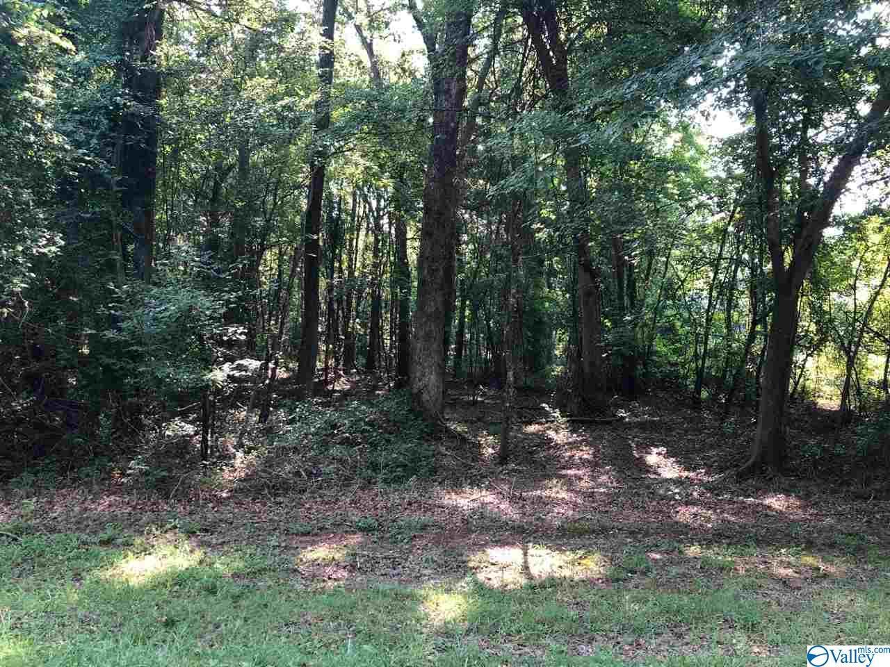 0 Little Burwell Road - Photo 1