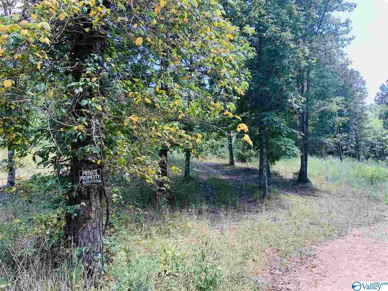 300 Old Mink Farm Road - Photo 1