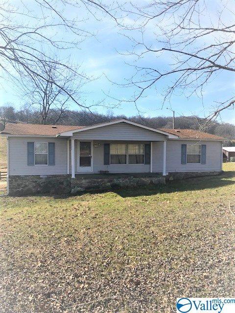 7458 Elkton Pike - Photo 1
