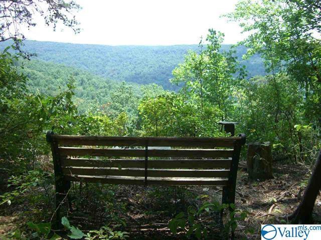 6830 County Road 39 - Photo 1