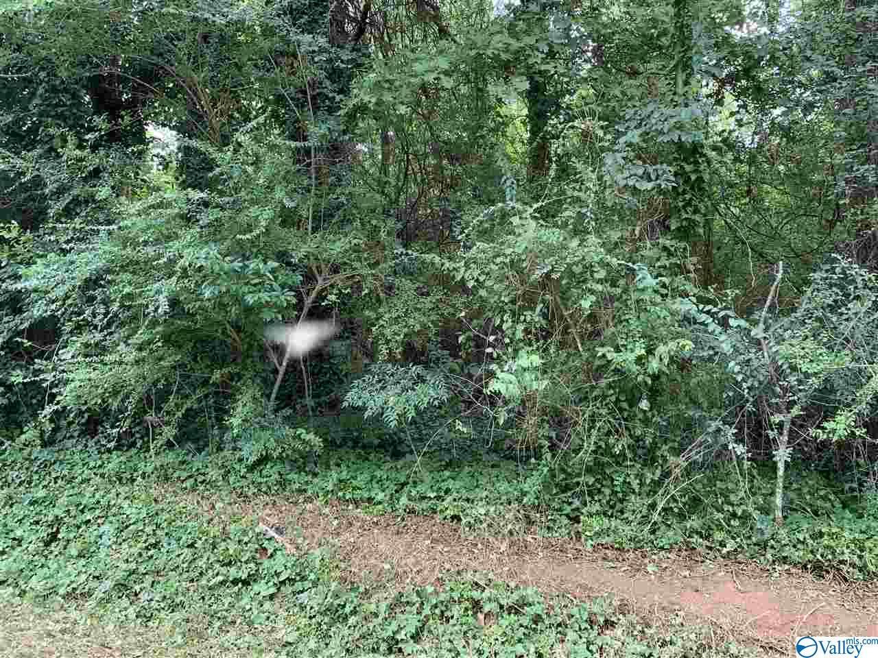 15 Holiday Shores Road - Photo 1