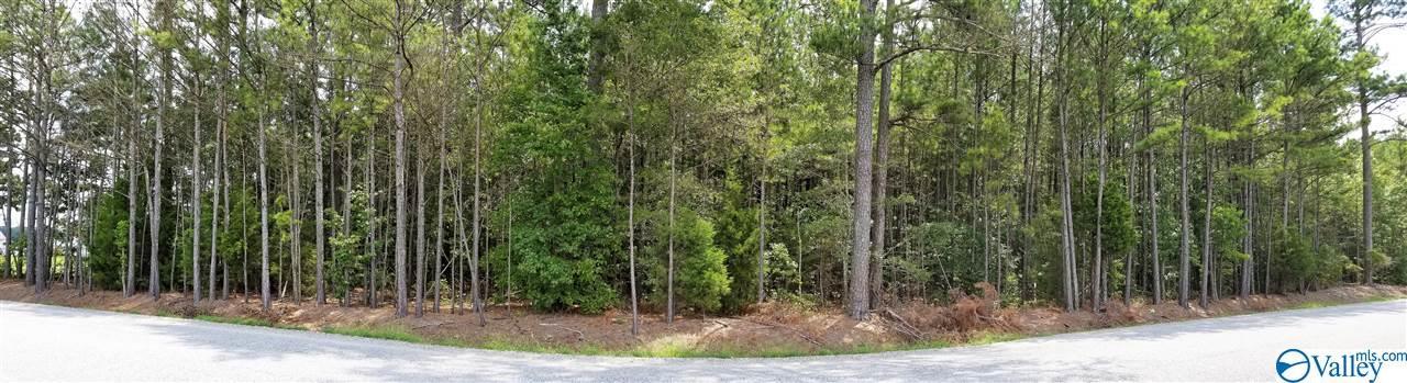 000 Oak Grove Road - Photo 1