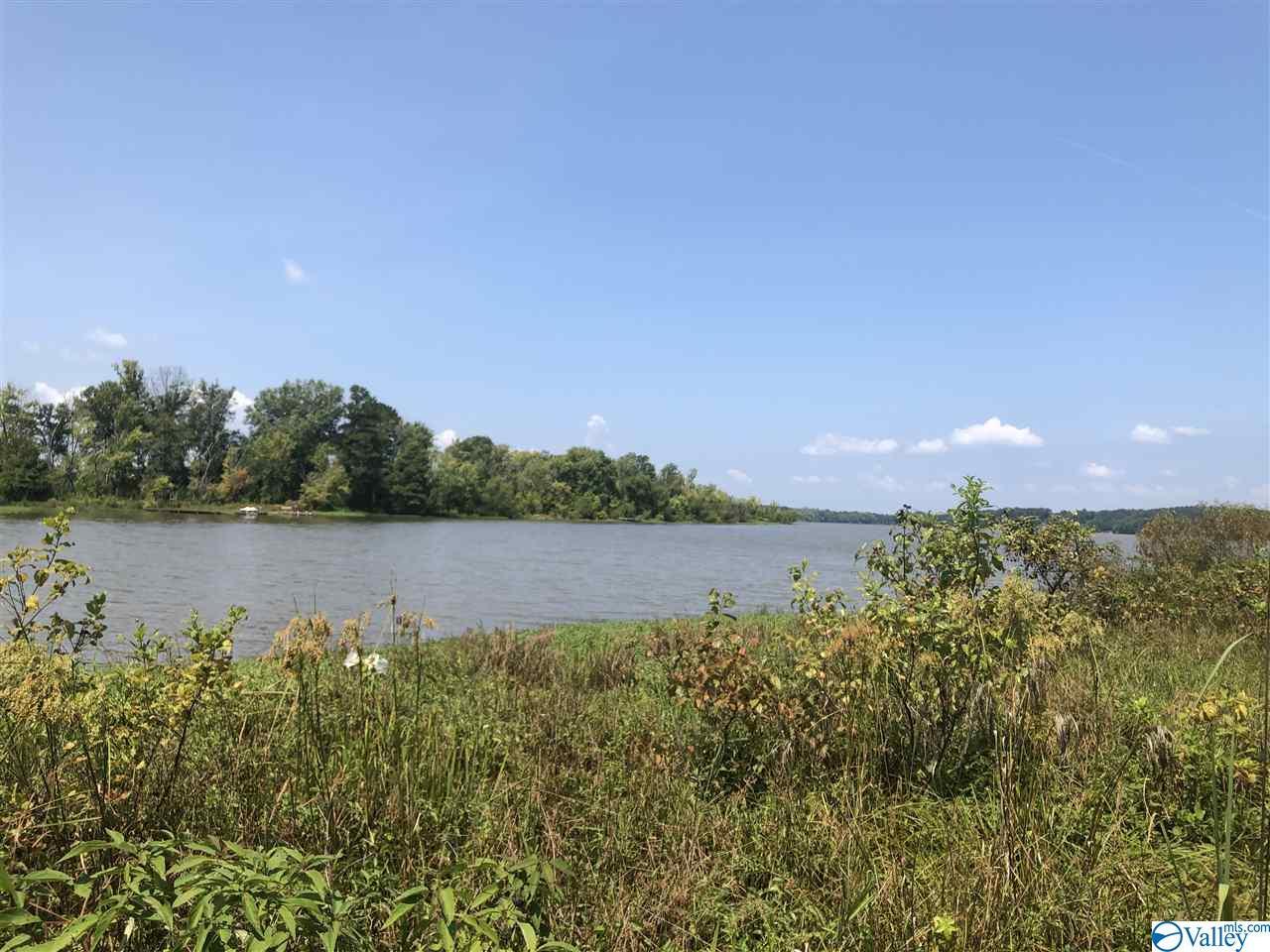 Lakeside Drive - Photo 1