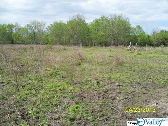 County Road 43 - Photo 1