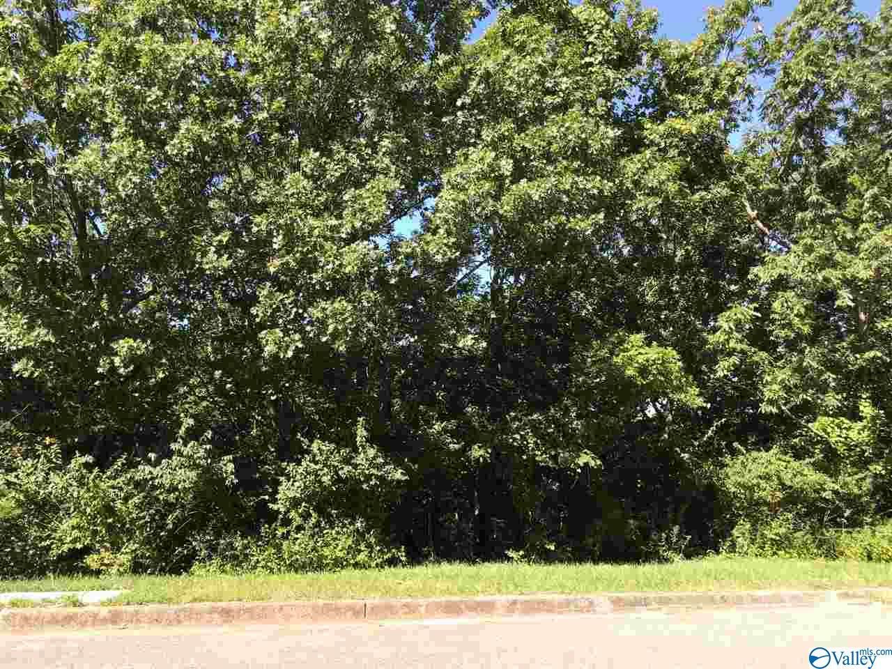 7724 Donegal Drive - Photo 1