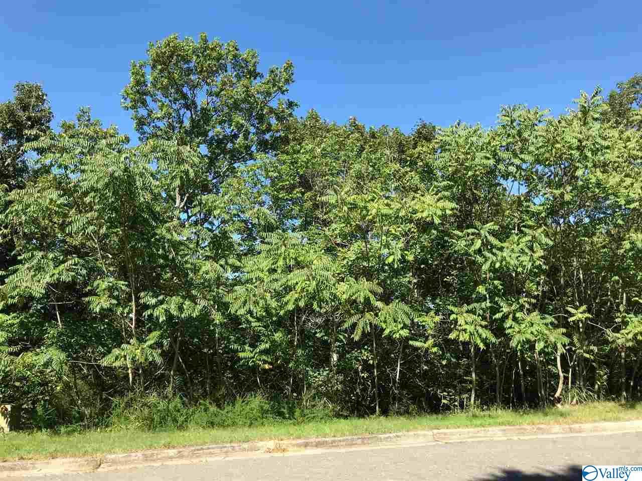 7850 Walsingham Road - Photo 1