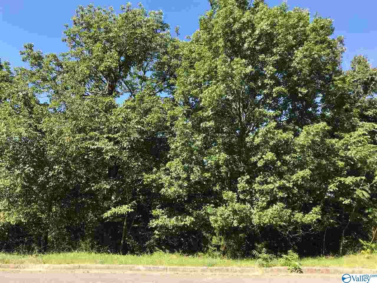 7852 Walsingham Road - Photo 1