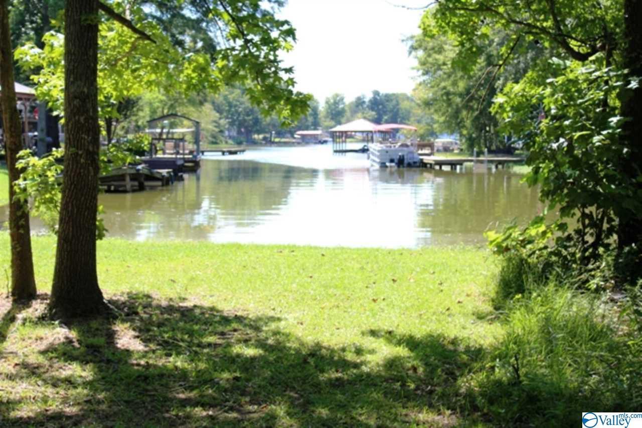 Lot 43 & 44 County Road 1004 - Photo 1