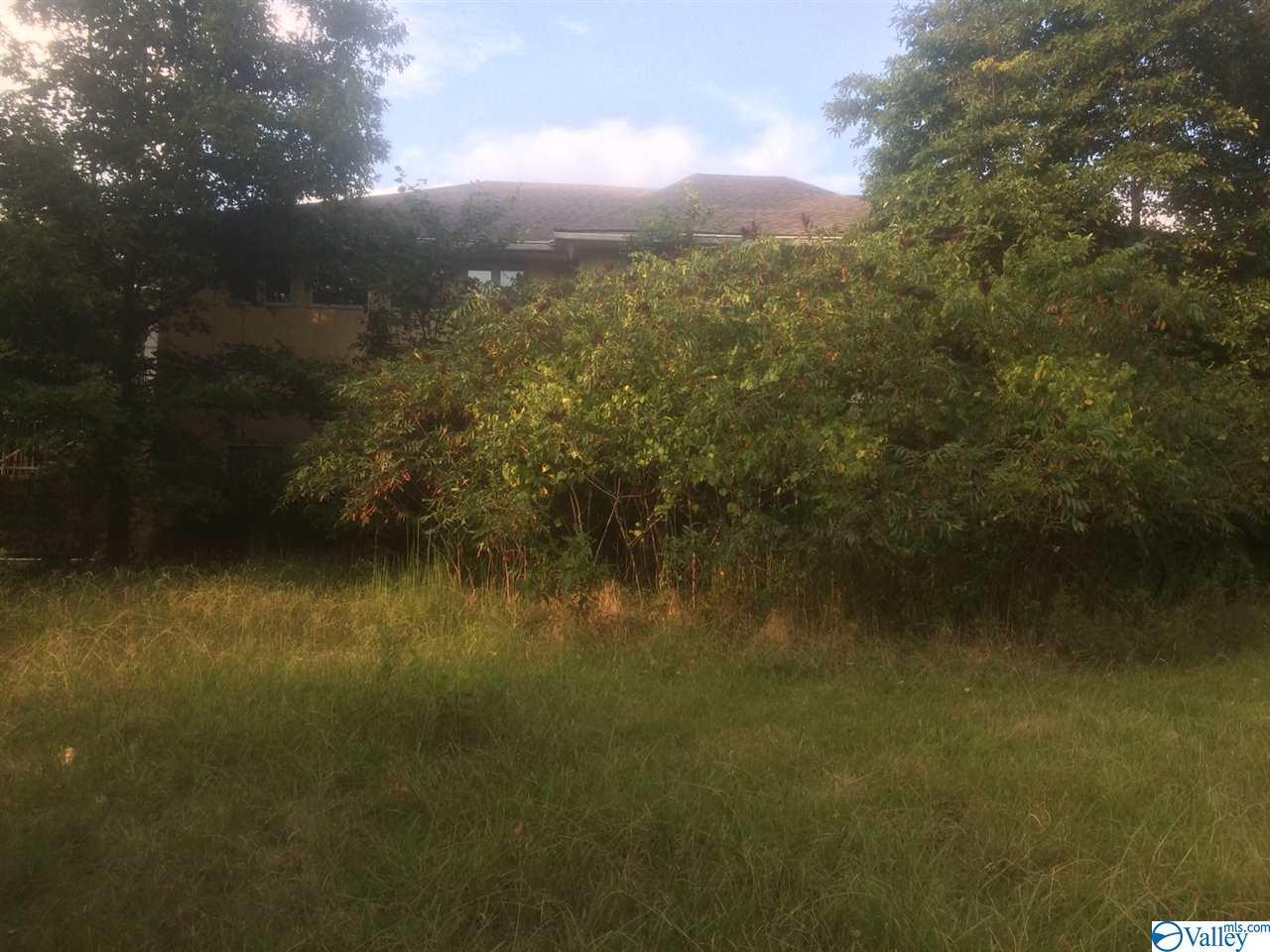 993 Carters Gin Road - Photo 1