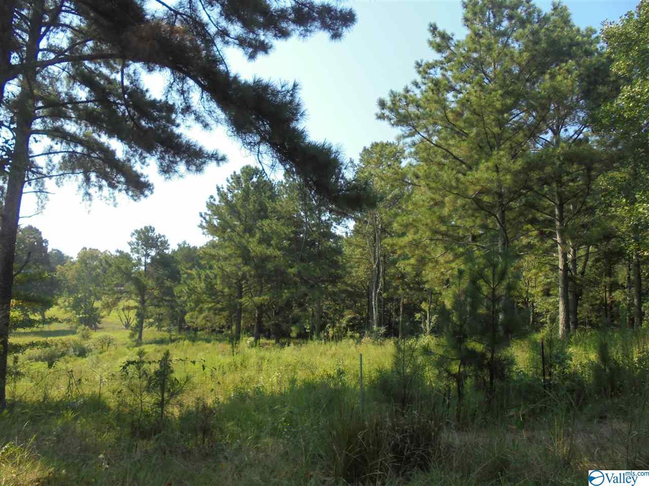 0 Lakeview Drive - Photo 1
