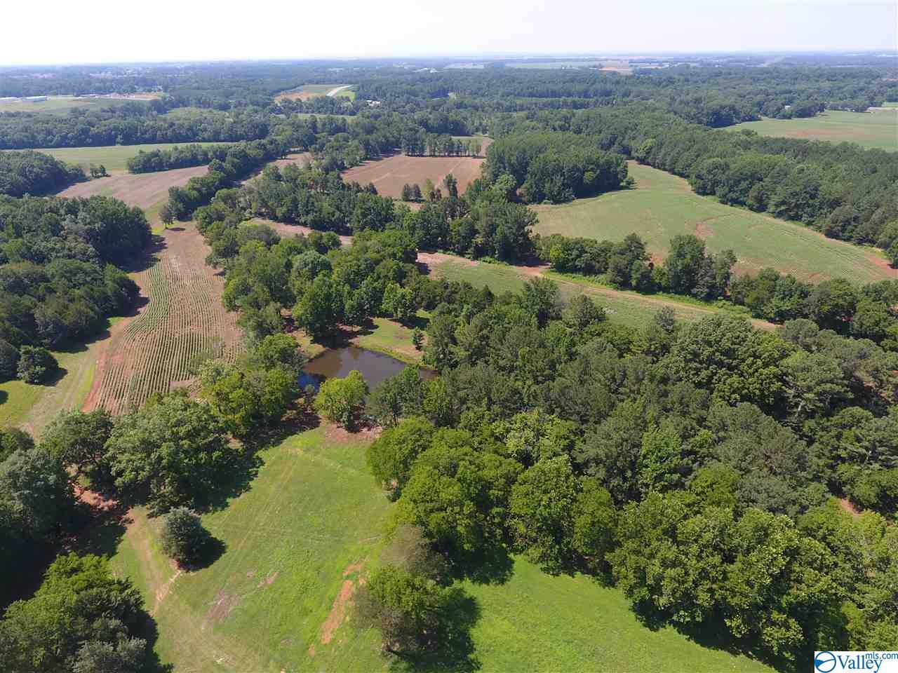 14185 Lipscomb Road - Photo 1