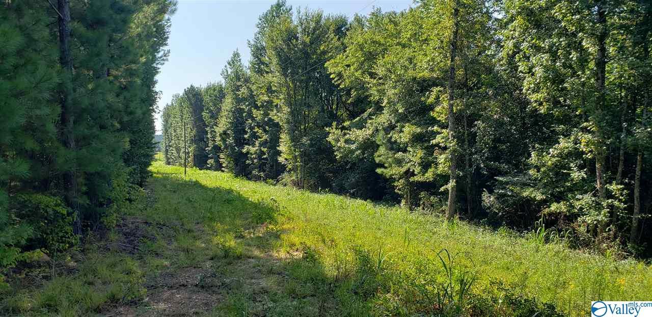 County Road 81 - Photo 1 County Road 81 - Photo 1