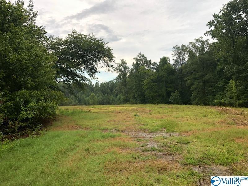0 Flintville School Road - Photo 1
