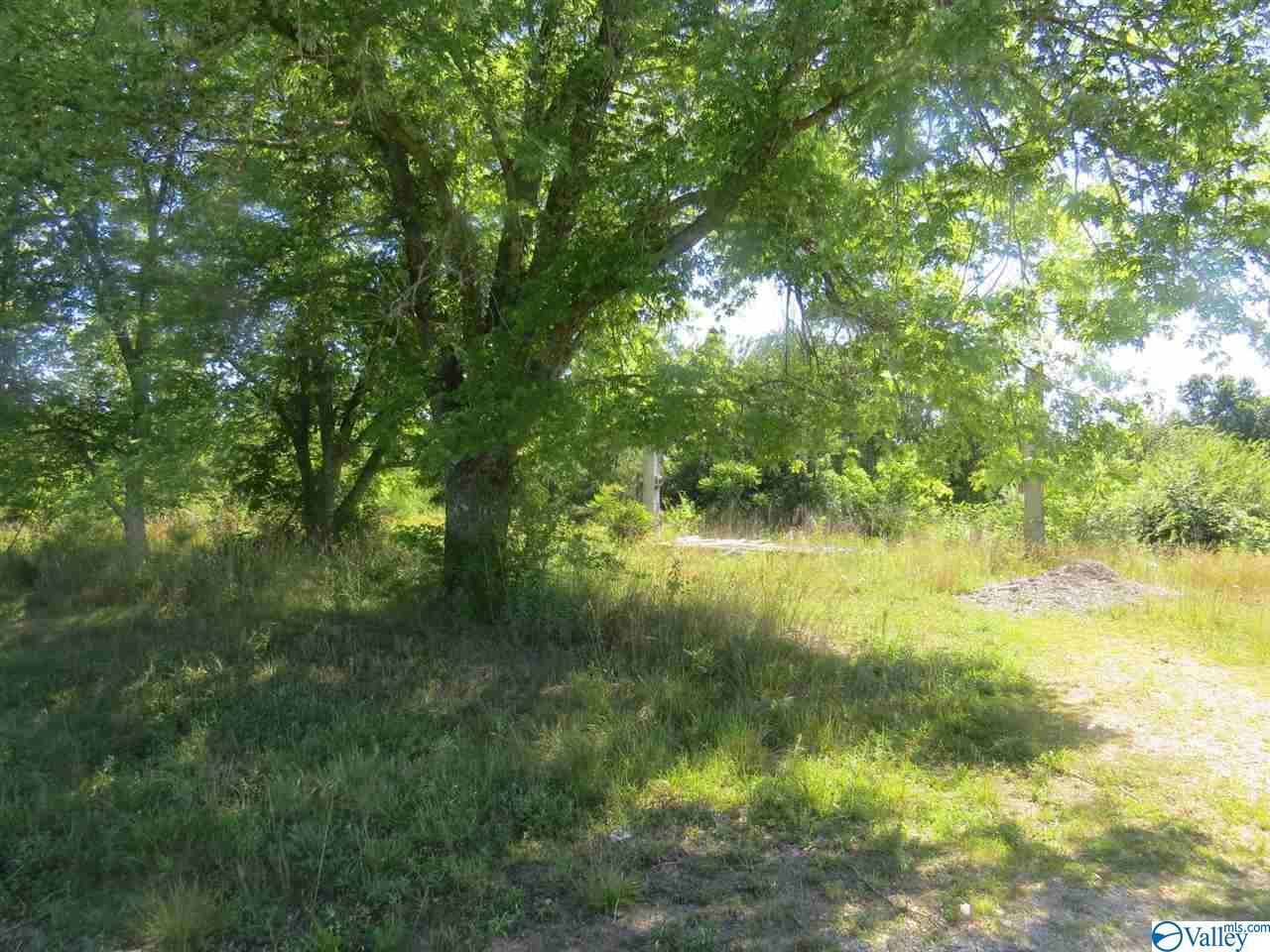 322 Ester Road - Photo 1
