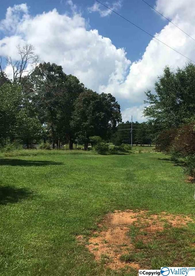 00 Alabama Highway 157 - Photo 1