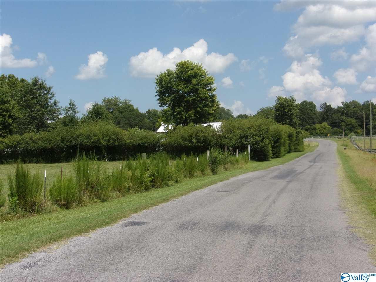 1060 County Road 386 - Photo 1