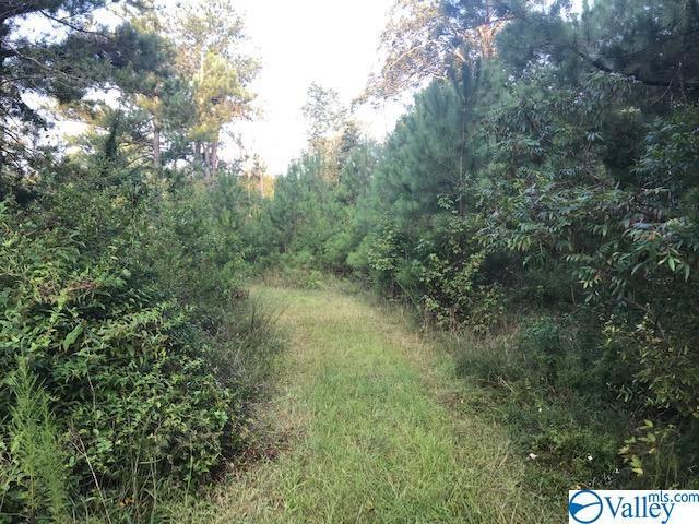 0 County Road 9008 - Photo 1