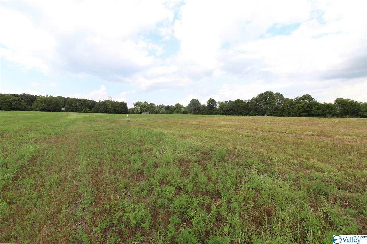 965 Rolan Gooch Road - Photo 1