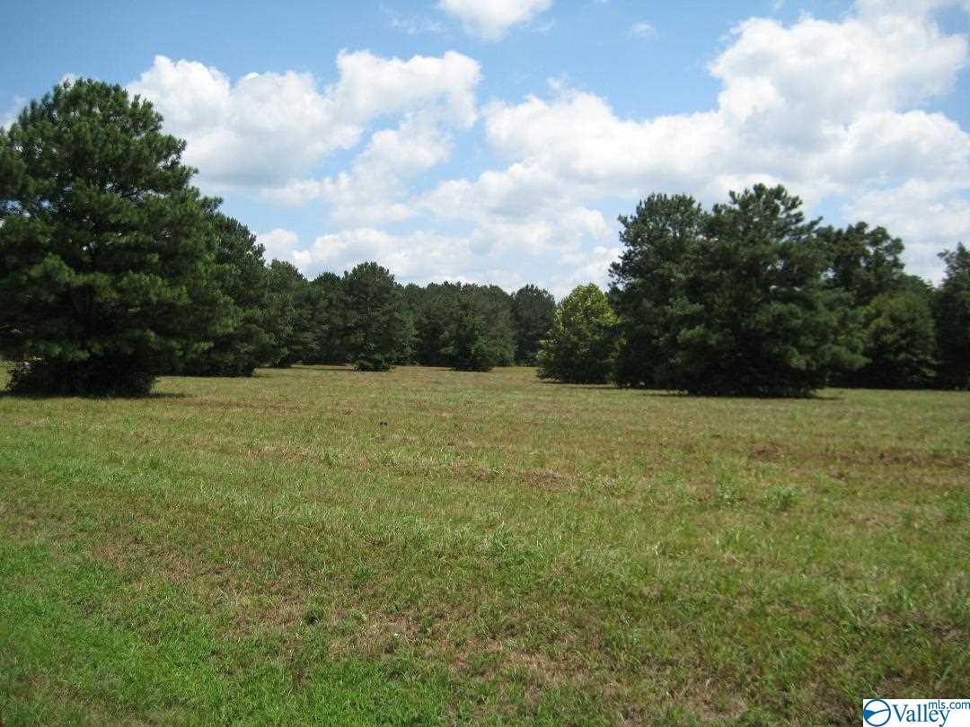 0405 Pulaski Pike - Photo 1