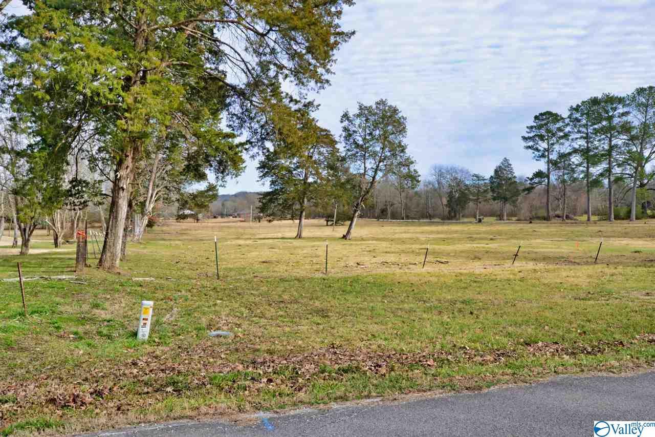 0000 South Chapel Hill Road - Photo 1