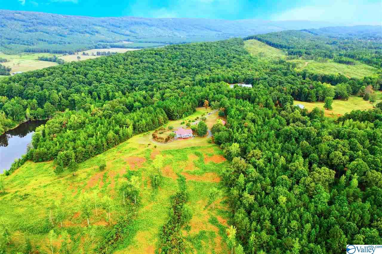 180 County Road 953 - Photo 1