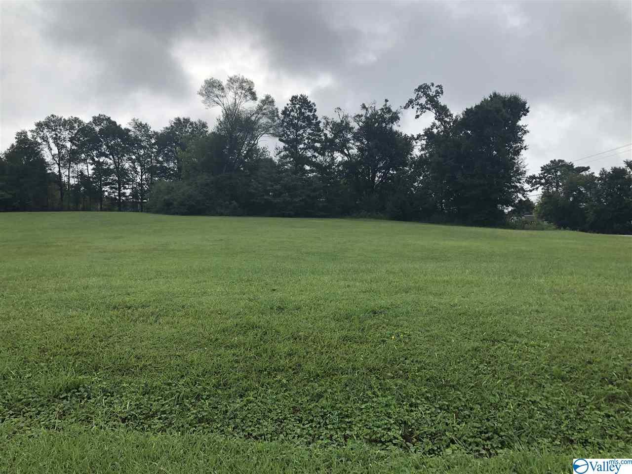 LOT 1 Eliza Lane - Photo 1
