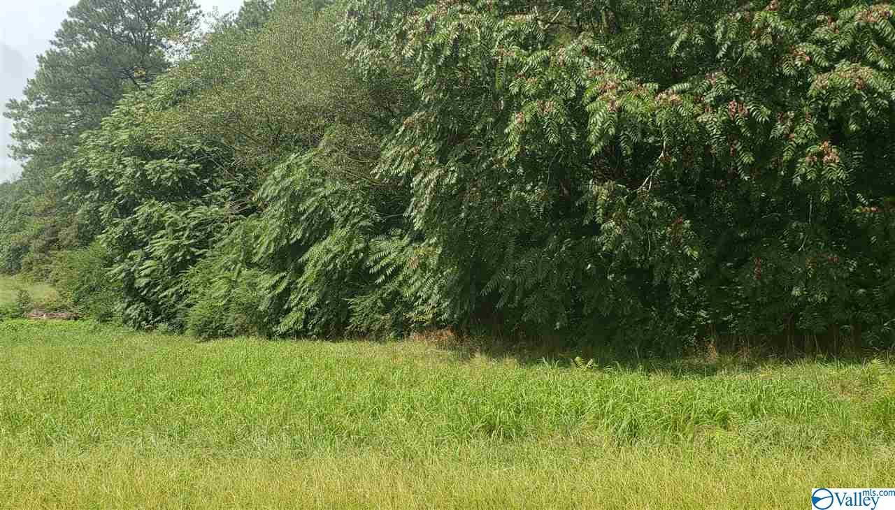 County Road 308 - Photo 1